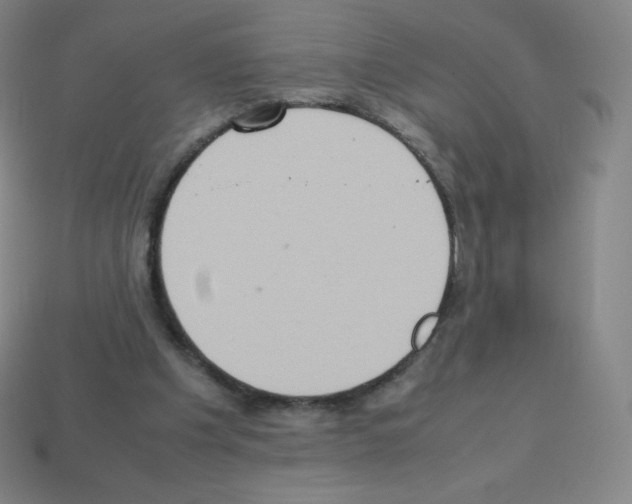 X0000113110201200910091206