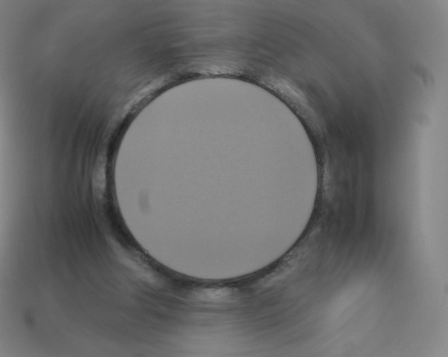 X0000113110202200910091206