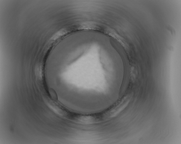 X0000113110203200910091206