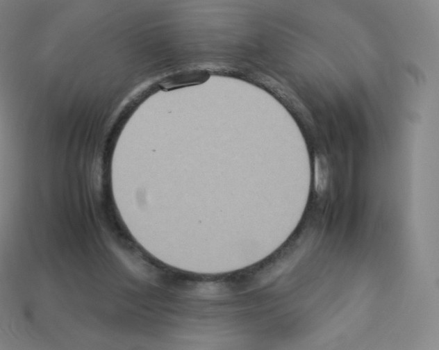 X0000113110204200910091206