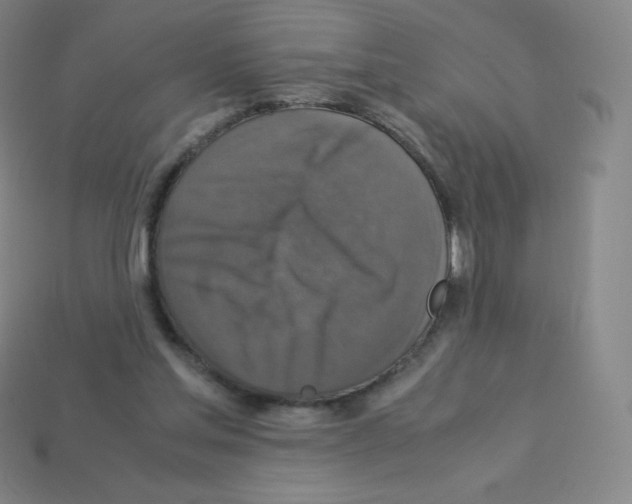 X0000113110205200910091206