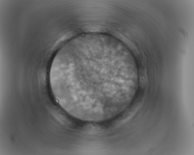 X0000113110207200910091206