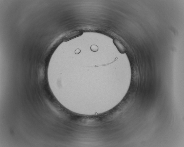 X0000113110208200910091206