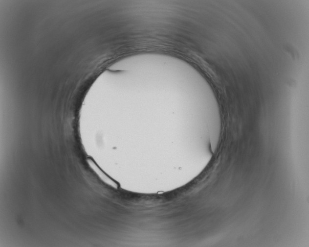 X0000113110209200910091206
