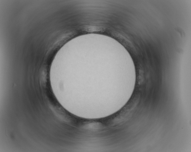X0000113110210200910091206