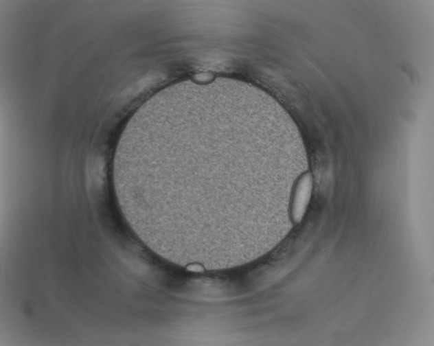 X0000113110211200910091206