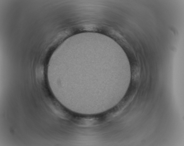X0000113110213200910091206