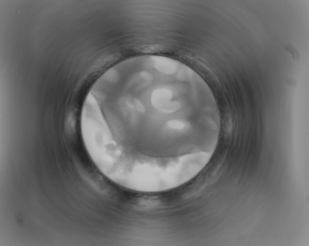 X0000113110214200910091206