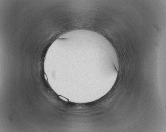 X0000113110215200910091206