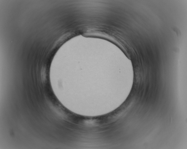 X0000113110216200910091206