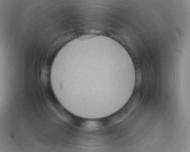 X0000113110218200910091206