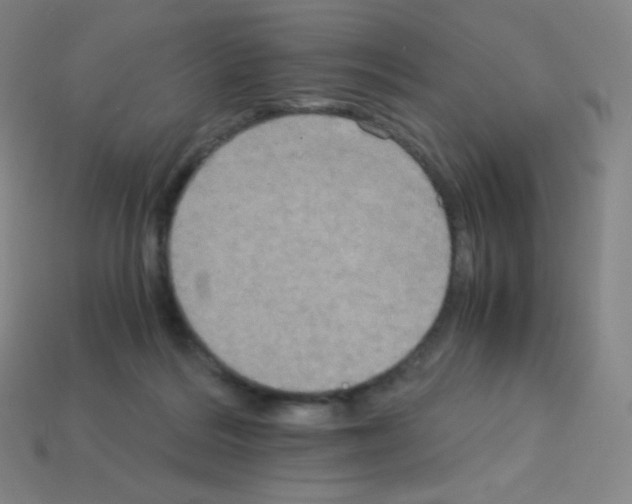 X0000113110220200910091206