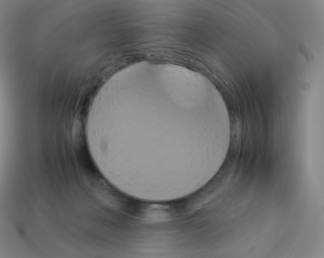 X0000113110222200910091206