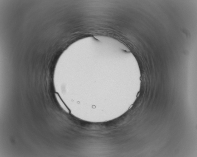 X0000113110223200910091206