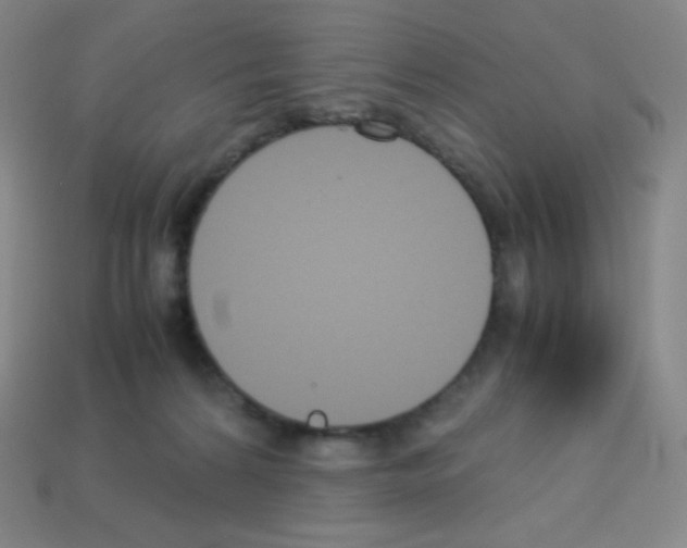 X0000113110224200910091206