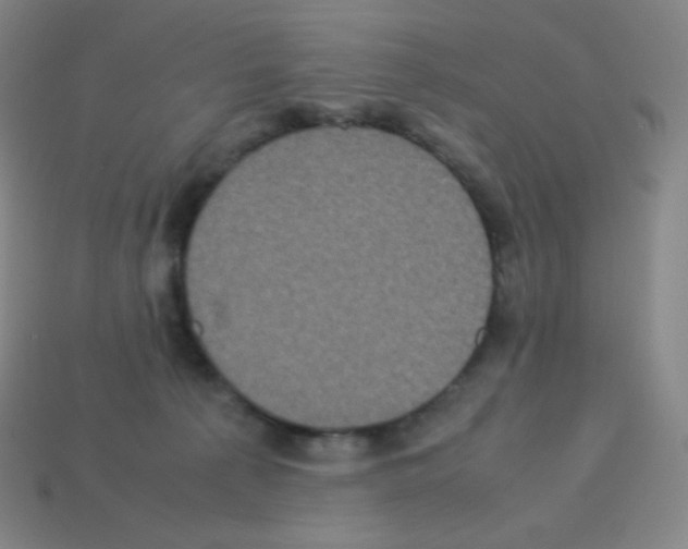 X0000113110225200910091206