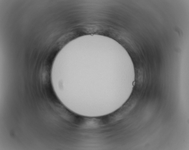 X0000113110226200910091206