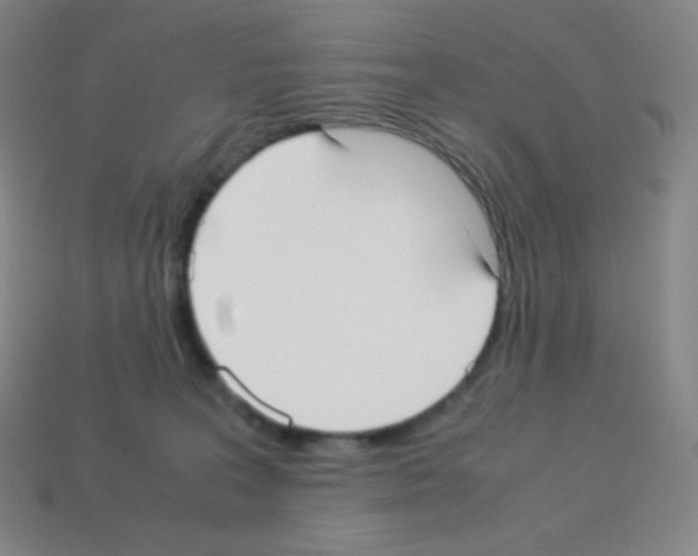 X0000113110227200910091206