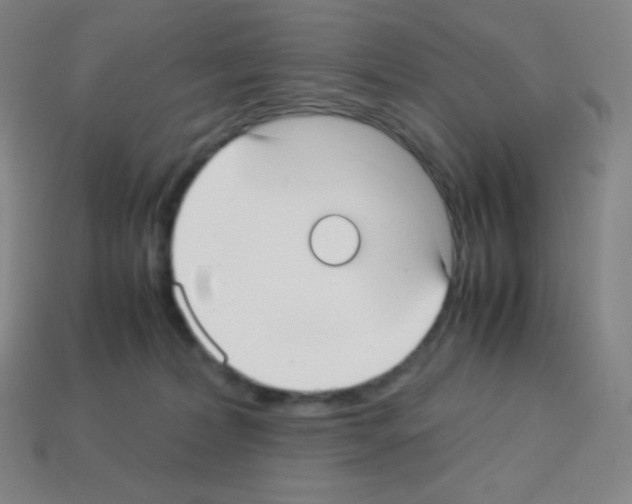 X0000113110228200910091206