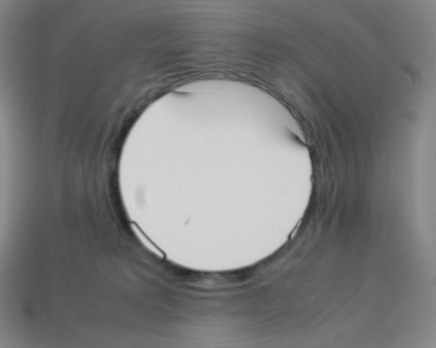 X0000113110229200910091206