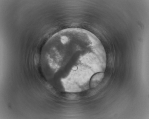 X0000113110230200910091206