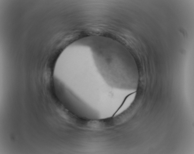 X0000113110231200910091206