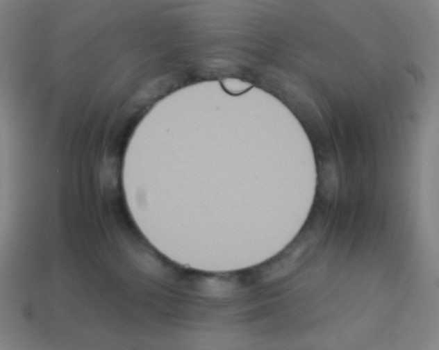 X0000113110232200910091206