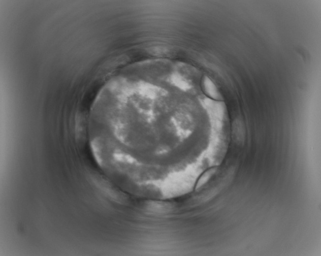 X0000113110234200910091206