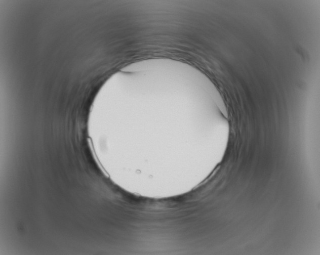 X0000113110235200910091206