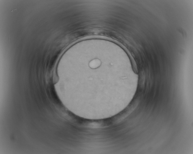 X0000113110236200910091206