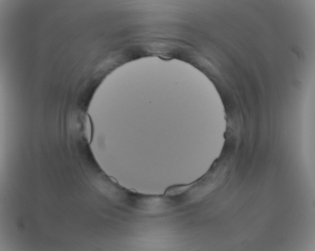 X0000113110237200910091206
