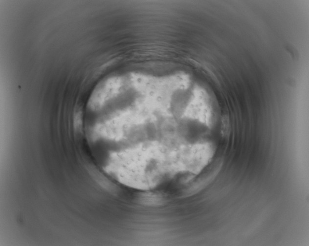 X0000113110238200910091206