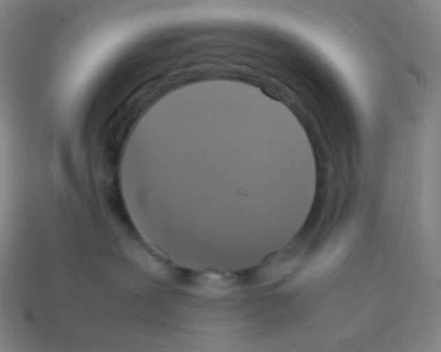 X0000113110239200910091205