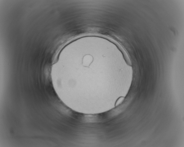 X0000113110240200910091205