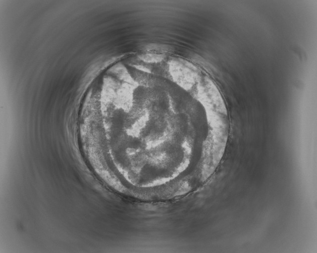 X0000113110241200910091205