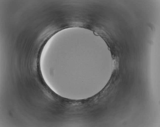 X0000113110243200910091205