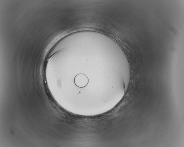 X0000113110244200910091205