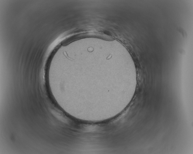 X0000113110246200910091205