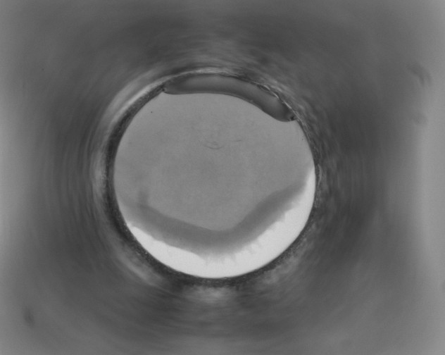 X0000113110247200910091205