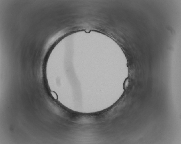 X0000113110248200910091205
