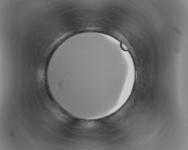 X0000113110249200910091205