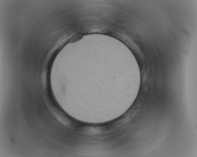 X0000113110250200910091205