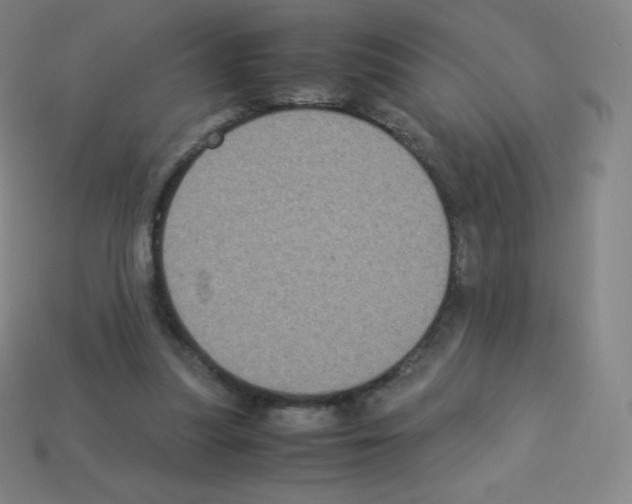 X0000113110251200910091205
