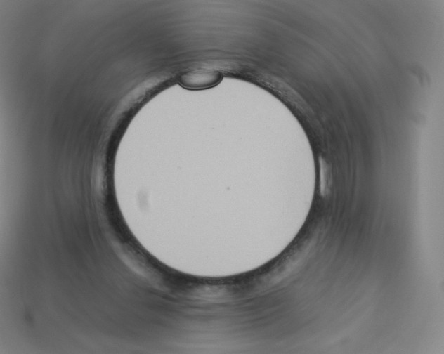 X0000113110252200910091205