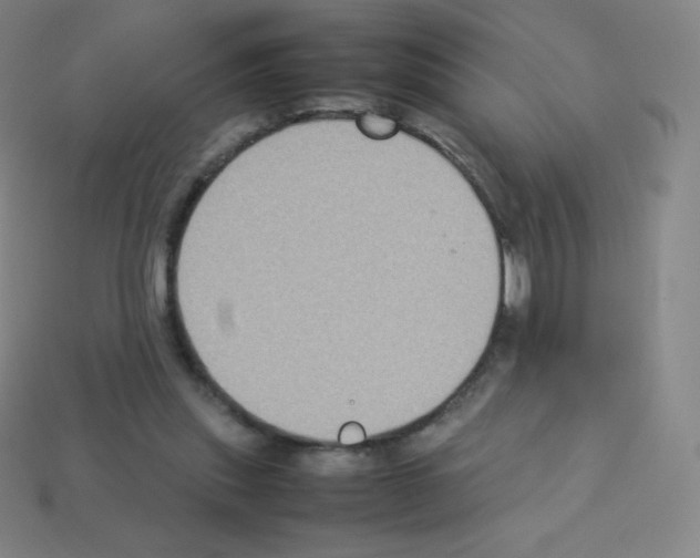 X0000113110253200910091205