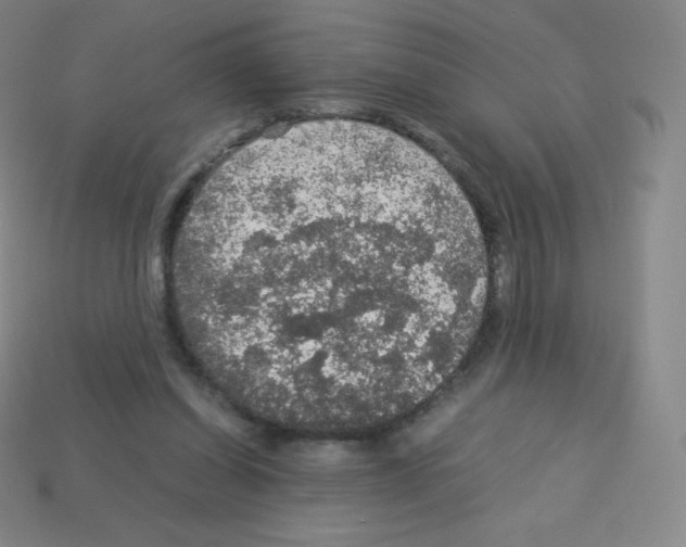 X0000113110254200910091205