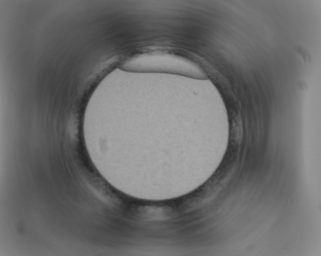 X0000113110255200910091205