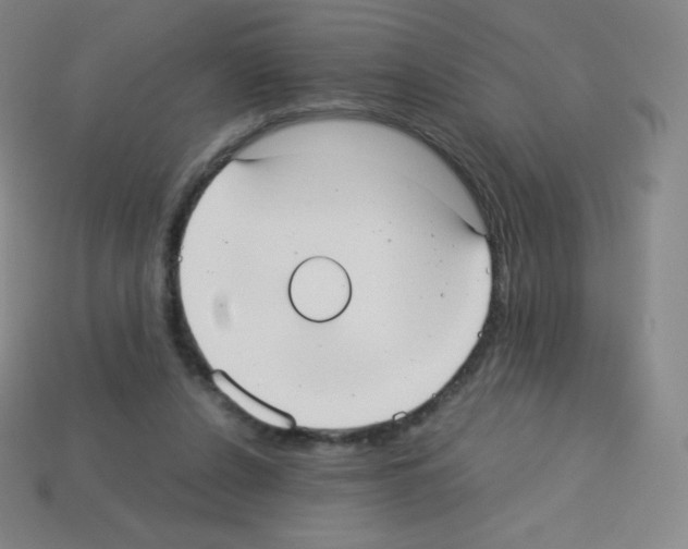 X0000113110256200910091205
