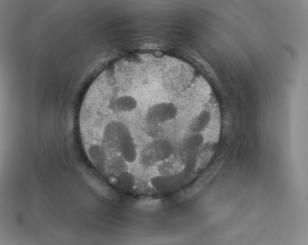 X0000113110257200910091205