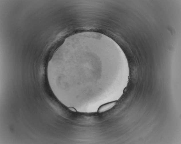X0000113110260200910091205